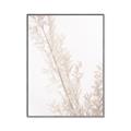 Picture of Earthy Flora Straws _GroupedProduct_Rectangle_Portrait_Photography _GroupedProduct_Rectangle_Portrait_Canvas_Framed_