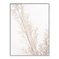 Picture of Earthy Flora Straws _GroupedProduct_Rectangle_Portrait_Photography _GroupedProduct_Rectangle_Portrait_Canvas_Framed_