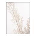 Picture of Earthy Flora Straws _GroupedProduct_Rectangle_Portrait_Photography _GroupedProduct_Rectangle_Portrait_Canvas_Framed_