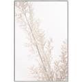 Picture of Earthy Flora Straws _GroupedProduct_Rectangle_Portrait_Photography _GroupedProduct_Rectangle_Portrait_Canvas_Framed_