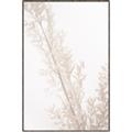 Picture of Earthy Flora Straws _GroupedProduct_Rectangle_Portrait_Photography _GroupedProduct_Rectangle_Portrait_Canvas_Framed_