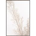 Picture of Earthy Flora Straws _GroupedProduct_Rectangle_Portrait_Photography _GroupedProduct_Rectangle_Portrait_Canvas_Framed_