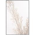 Picture of Earthy Flora Straws _GroupedProduct_Rectangle_Portrait_Photography _GroupedProduct_Rectangle_Portrait_Canvas_Framed_