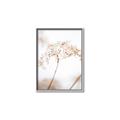 Picture of Desert Bloom Elegance _GroupedProduct_Rectangle_Portrait_Photography _GroupedProduct_Rectangle_Portrait_Canvas_Framed_