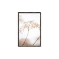Picture of Desert Bloom Elegance _GroupedProduct_Rectangle_Portrait_Photography _GroupedProduct_Rectangle_Portrait_Canvas_Framed_