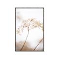 Picture of Desert Bloom Elegance _GroupedProduct_Rectangle_Portrait_Photography _GroupedProduct_Rectangle_Portrait_Canvas_Framed_