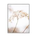Picture of Desert Bloom Elegance _GroupedProduct_Rectangle_Portrait_Photography _GroupedProduct_Rectangle_Portrait_Canvas_Framed_