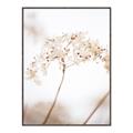 Picture of Desert Bloom Elegance _GroupedProduct_Rectangle_Portrait_Photography _GroupedProduct_Rectangle_Portrait_Canvas_Framed_