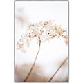 Picture of Desert Bloom Elegance _GroupedProduct_Rectangle_Portrait_Photography _GroupedProduct_Rectangle_Portrait_Canvas_Framed_