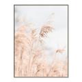 Picture of Neutral Bloom Reeds _GroupedProduct_Rectangle_Portrait_Photography _GroupedProduct_Rectangle_Portrait_Canvas_Framed_