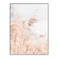 Picture of Neutral Bloom Reeds _GroupedProduct_Rectangle_Portrait_Photography _GroupedProduct_Rectangle_Portrait_Canvas_Framed_