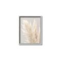 Picture of Creamy Petal Pampas I _GroupedProduct_Rectangle_Portrait_Photography _GroupedProduct_Rectangle_Portrait_Canvas_Framed_