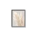 Picture of Creamy Petal Pampas I _GroupedProduct_Rectangle_Portrait_Photography _GroupedProduct_Rectangle_Portrait_Canvas_Framed_