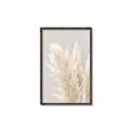 Picture of Creamy Petal Pampas I _GroupedProduct_Rectangle_Portrait_Photography _GroupedProduct_Rectangle_Portrait_Canvas_Framed_