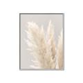 Picture of Creamy Petal Pampas I _GroupedProduct_Rectangle_Portrait_Photography _GroupedProduct_Rectangle_Portrait_Canvas_Framed_
