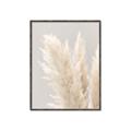 Picture of Creamy Petal Pampas I _GroupedProduct_Rectangle_Portrait_Photography _GroupedProduct_Rectangle_Portrait_Canvas_Framed_