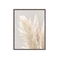 Picture of Creamy Petal Pampas I _GroupedProduct_Rectangle_Portrait_Photography _GroupedProduct_Rectangle_Portrait_Canvas_Framed_