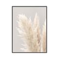 Picture of Creamy Petal Pampas I _GroupedProduct_Rectangle_Portrait_Photography _GroupedProduct_Rectangle_Portrait_Canvas_Framed_
