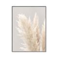 Picture of Creamy Petal Pampas I _GroupedProduct_Rectangle_Portrait_Photography _GroupedProduct_Rectangle_Portrait_Canvas_Framed_