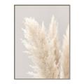 Picture of Creamy Petal Pampas I _GroupedProduct_Rectangle_Portrait_Photography _GroupedProduct_Rectangle_Portrait_Canvas_Framed_
