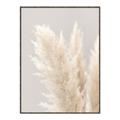 Picture of Creamy Petal Pampas I _GroupedProduct_Rectangle_Portrait_Photography _GroupedProduct_Rectangle_Portrait_Canvas_Framed_