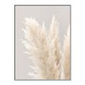 Picture of Creamy Petal Pampas I _GroupedProduct_Rectangle_Portrait_Photography _GroupedProduct_Rectangle_Portrait_Canvas_Framed_