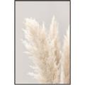 Picture of Creamy Petal Pampas I _GroupedProduct_Rectangle_Portrait_Photography _GroupedProduct_Rectangle_Portrait_Canvas_Framed_