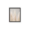 Picture of Creamy Petal Pampas II _GroupedProduct_Rectangle_Portrait_Photography _GroupedProduct_Rectangle_Portrait_Canvas_Framed_