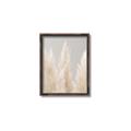 Picture of Creamy Petal Pampas II _GroupedProduct_Rectangle_Portrait_Photography _GroupedProduct_Rectangle_Portrait_Canvas_Framed_