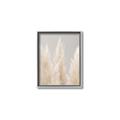 Picture of Creamy Petal Pampas II _GroupedProduct_Rectangle_Portrait_Photography _GroupedProduct_Rectangle_Portrait_Canvas_Framed_