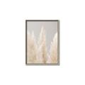 Picture of Creamy Petal Pampas II _GroupedProduct_Rectangle_Portrait_Photography _GroupedProduct_Rectangle_Portrait_Canvas_Framed_