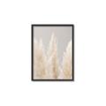 Picture of Creamy Petal Pampas II _GroupedProduct_Rectangle_Portrait_Photography _GroupedProduct_Rectangle_Portrait_Canvas_Framed_