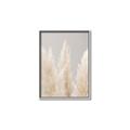 Picture of Creamy Petal Pampas II _GroupedProduct_Rectangle_Portrait_Photography _GroupedProduct_Rectangle_Portrait_Canvas_Framed_