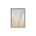 Picture of Creamy Petal Pampas II _GroupedProduct_Rectangle_Portrait_Photography _GroupedProduct_Rectangle_Portrait_Canvas_Framed_