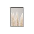 Picture of Creamy Petal Pampas II _GroupedProduct_Rectangle_Portrait_Photography _GroupedProduct_Rectangle_Portrait_Canvas_Framed_