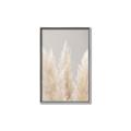 Picture of Creamy Petal Pampas II _GroupedProduct_Rectangle_Portrait_Photography _GroupedProduct_Rectangle_Portrait_Canvas_Framed_