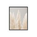 Picture of Creamy Petal Pampas II _GroupedProduct_Rectangle_Portrait_Photography _GroupedProduct_Rectangle_Portrait_Canvas_Framed_