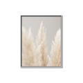 Picture of Creamy Petal Pampas II _GroupedProduct_Rectangle_Portrait_Photography _GroupedProduct_Rectangle_Portrait_Canvas_Framed_