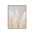 Picture of Creamy Petal Pampas II _GroupedProduct_Rectangle_Portrait_Photography _GroupedProduct_Rectangle_Portrait_Canvas_Framed_