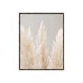 Picture of Creamy Petal Pampas II _GroupedProduct_Rectangle_Portrait_Photography _GroupedProduct_Rectangle_Portrait_Canvas_Framed_