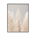 Picture of Creamy Petal Pampas II _GroupedProduct_Rectangle_Portrait_Photography _GroupedProduct_Rectangle_Portrait_Canvas_Framed_