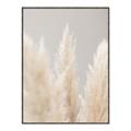 Picture of Creamy Petal Pampas II _GroupedProduct_Rectangle_Portrait_Photography _GroupedProduct_Rectangle_Portrait_Canvas_Framed_