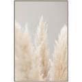 Picture of Creamy Petal Pampas II _GroupedProduct_Rectangle_Portrait_Photography _GroupedProduct_Rectangle_Portrait_Canvas_Framed_