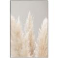 Picture of Creamy Petal Pampas II _GroupedProduct_Rectangle_Portrait_Photography _GroupedProduct_Rectangle_Portrait_Canvas_Framed_