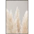 Picture of Creamy Petal Pampas II _GroupedProduct_Rectangle_Portrait_Photography _GroupedProduct_Rectangle_Portrait_Canvas_Framed_