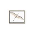 Picture of Serenade Flight _GroupedProduct_Rectangle_Landscape_Photography _GroupedProduct_Rectangle_Landscape_Canvas_Framed_