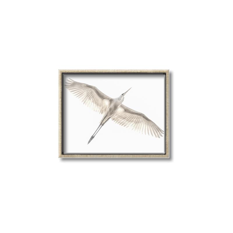 Picture of Serenade Flight _GroupedProduct_Rectangle_Landscape_Photography _GroupedProduct_Rectangle_Landscape_Canvas_Framed_