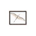 Picture of Serenade Flight _GroupedProduct_Rectangle_Landscape_Photography _GroupedProduct_Rectangle_Landscape_Canvas_Framed_