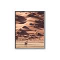 Picture of Tranquil Walk in the Valley _GroupedProduct_Rectangle_Portrait_Photography _GroupedProduct_Rectangle_Portrait_Canvas_Framed_