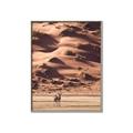 Picture of Tranquil Walk in the Valley _GroupedProduct_Rectangle_Portrait_Photography _GroupedProduct_Rectangle_Portrait_Canvas_Framed_